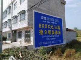 绥阳墙体广告质量分析