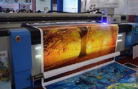 绥阳写真有哪些介质？