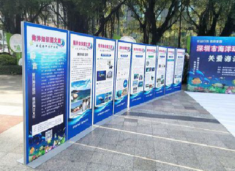 绥阳KT板的种类和知识。